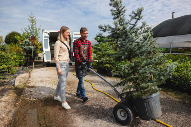 Best Tree Pruning Services  in Terville, WA